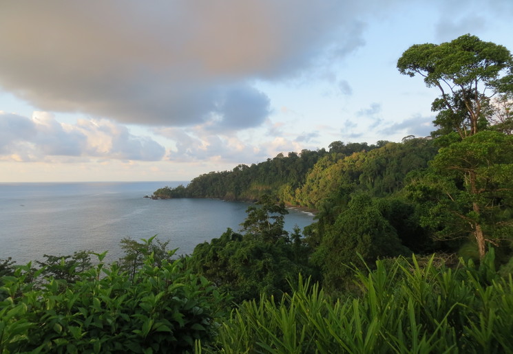 Corcovado-Groene-Omgeving(5)