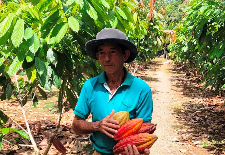 Boer met cacaobonen in Boca Tapada, Costa Rica