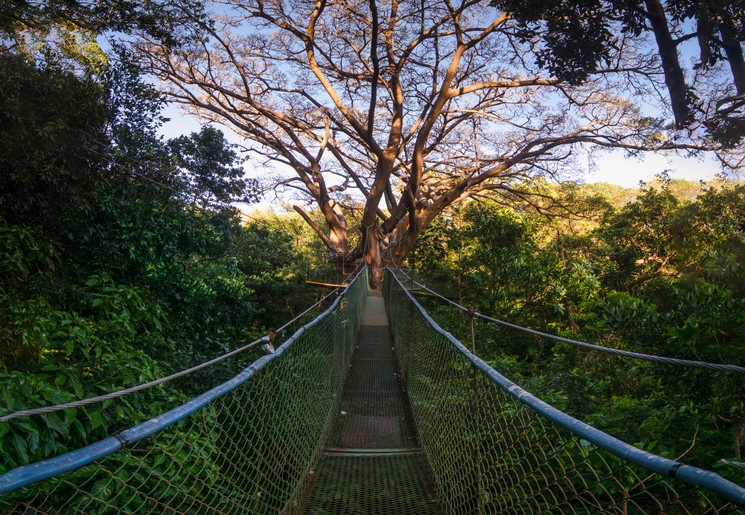 Hangbruggen in RIncón de la Vieja in Costa Rica
