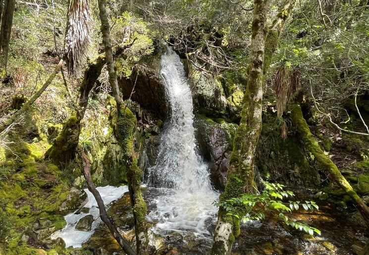 Cradle Mountain Crater Falls