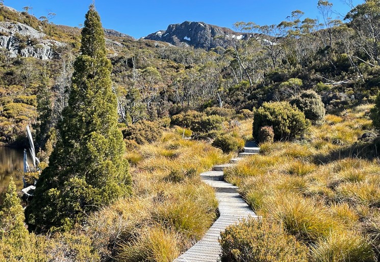 Wandelen in Cradle Mountain, Tasmanië, Ausrtalië