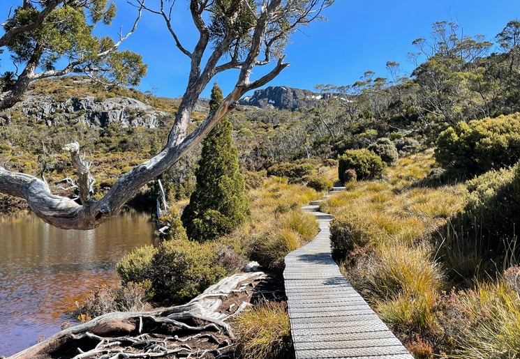 Cradle Mountain