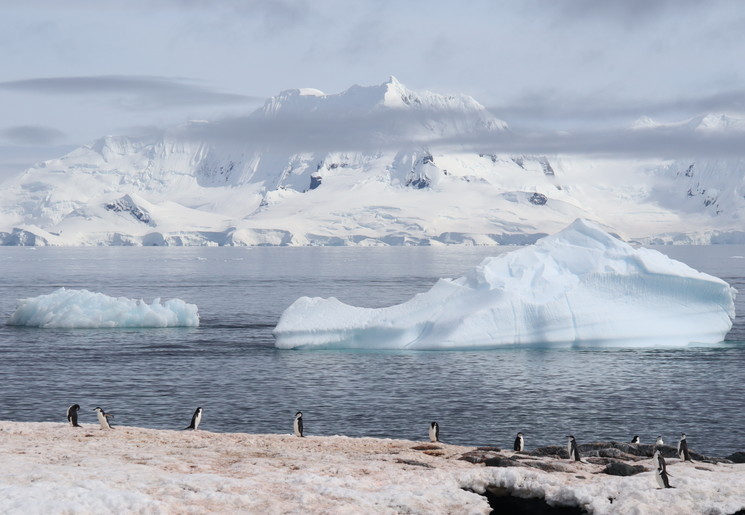 Imposant-poollandschap-vanaf-dek-cruise-Antarctica