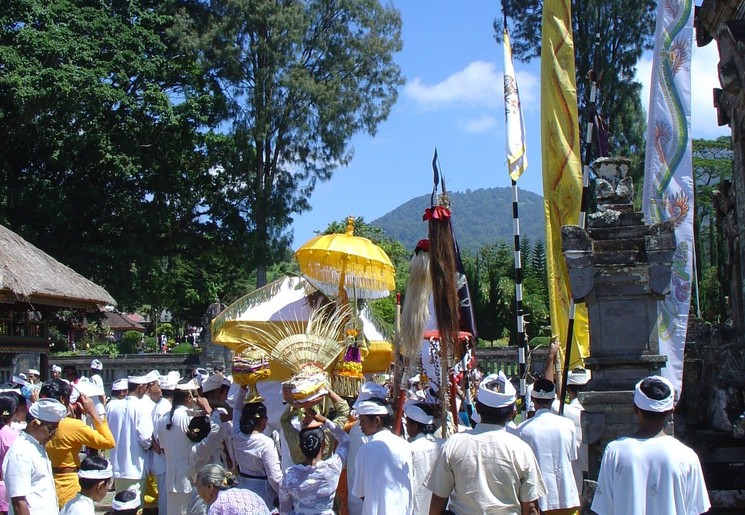 Safari in  Amakhala wildreservaat