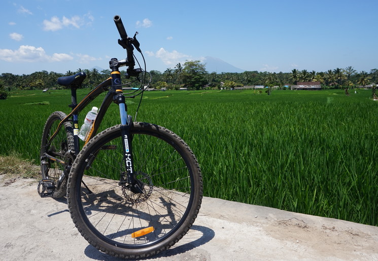 Fietsen door de rijstvelden van Bali