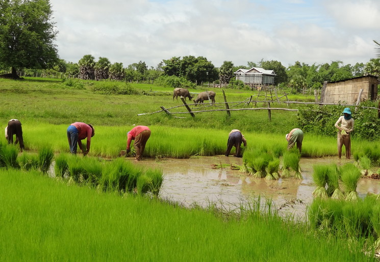 Lokale bevolking aan het werk in Ratanakiri