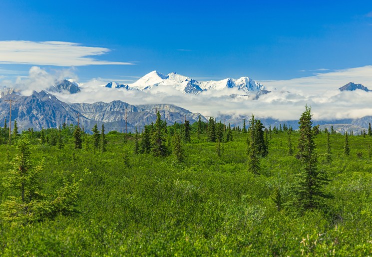 Denali National Park in Alaska Denali National Park in Alaska