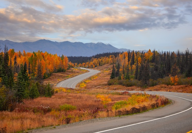 Denali National Park