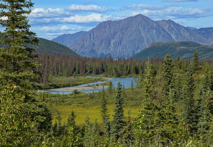 Rivier kronkelt door de dichte bossen in Denali National Park, Alaska Rivier kronkelt door de dichte bossen in Denali National Park, Alaska