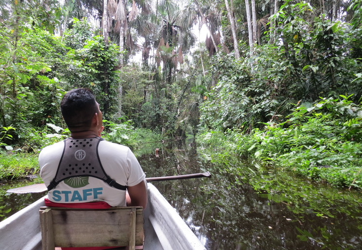 Op pad met de gids in een kano, opzoek naar dieren in de Amazone