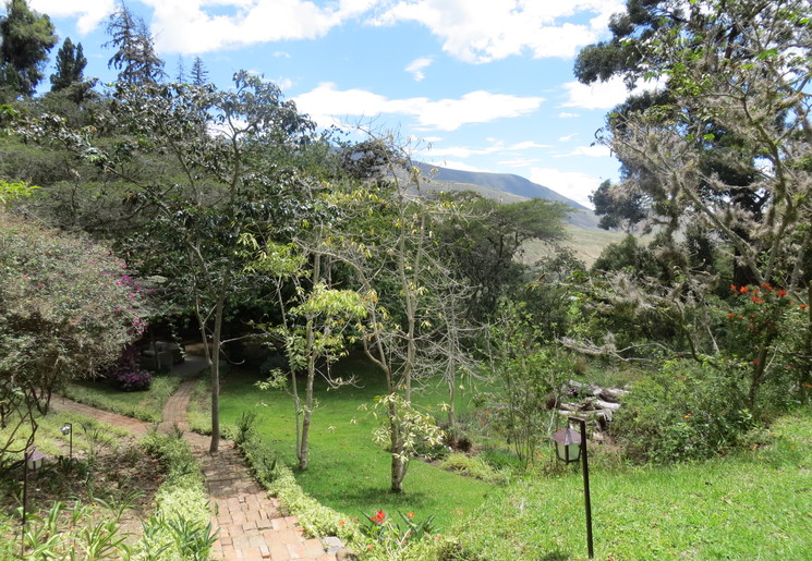 Ecuador-Ibarra-Hacienda-Piman_1_551759