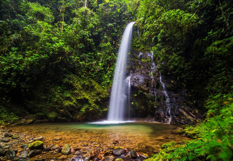 Ecuador-Mashpi-Waterfall-San-Vincente Ecuador-Mashpi-Waterfall-San-Vincente
