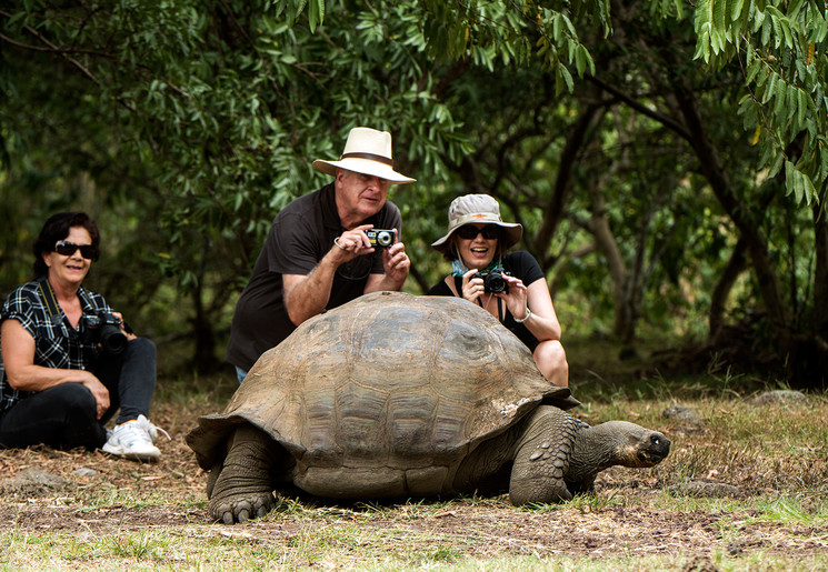 Oog in oog met een reuzenschildpad op de Galápagoseilanden