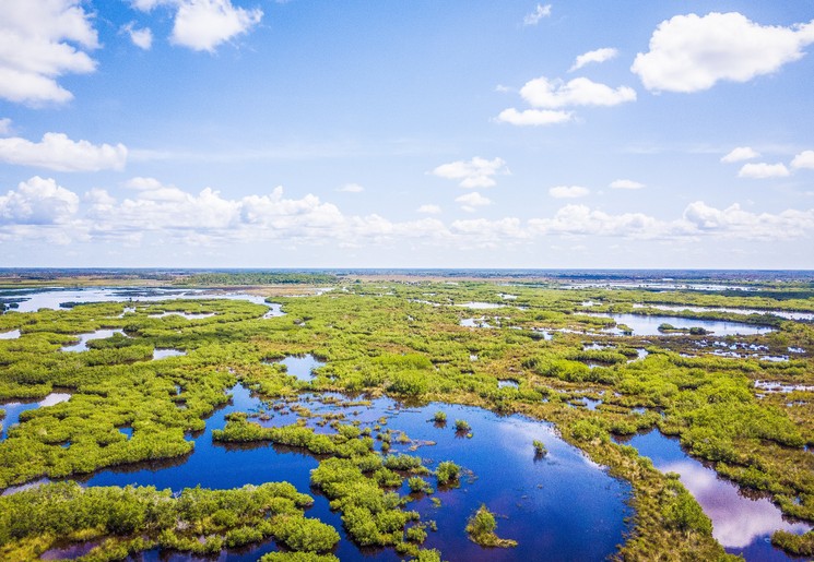 De Everglades in Florida