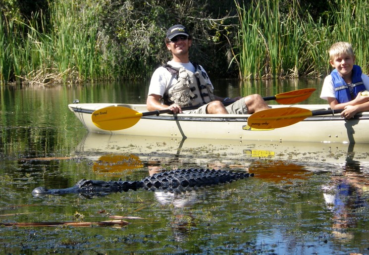 Kajakken in Everglades NP