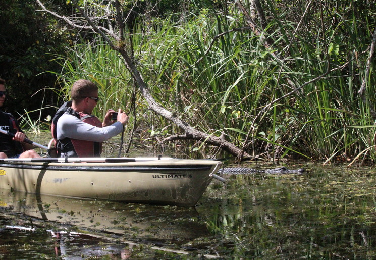 Dieren spotten tijdens het kajakken in de Everglades