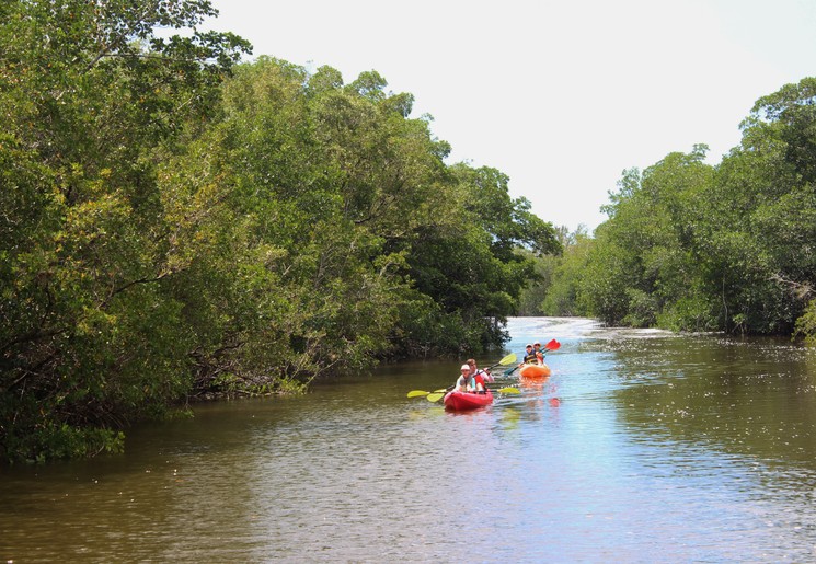 Kanoën in de natuur van Everglades National Park