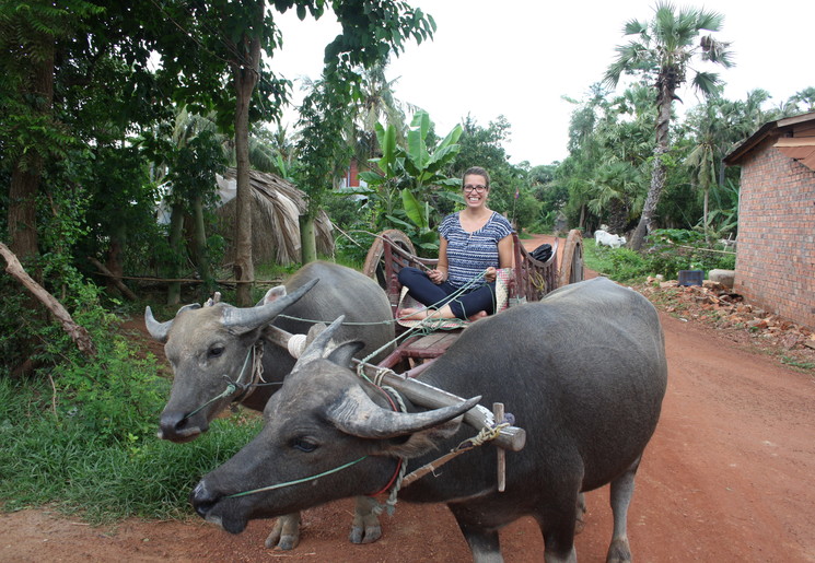 Excursie countryside