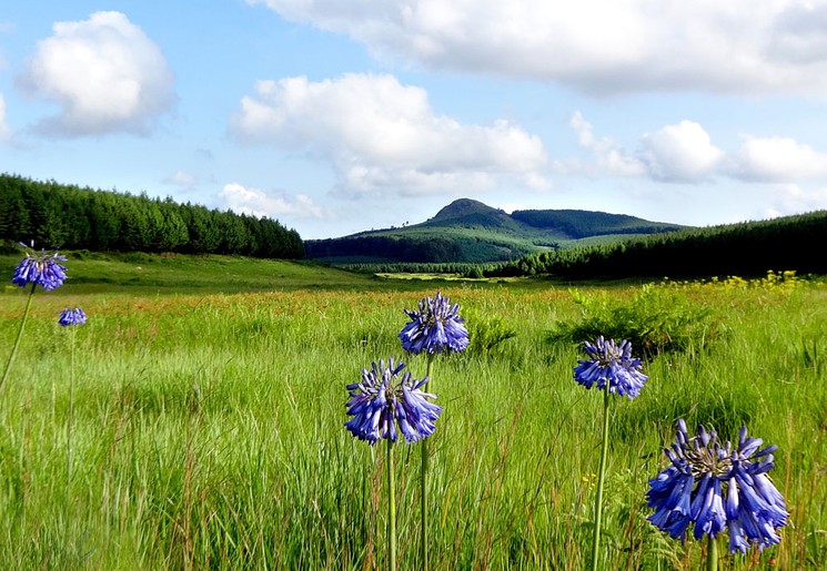 Het is volop genieten in de Ezulwini vallei