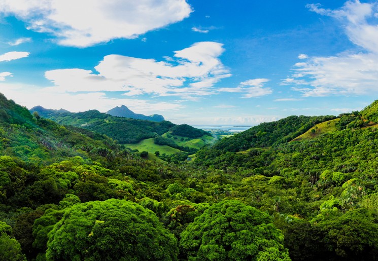 Ferney Vallei mooi bebost gebied in Mauritius met groene bomen
