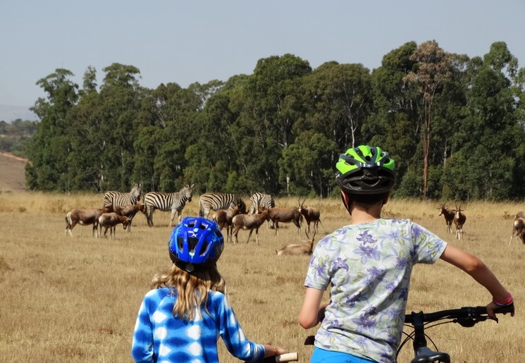Fiesten tussen de dieren in Mlilwane, eSwatini