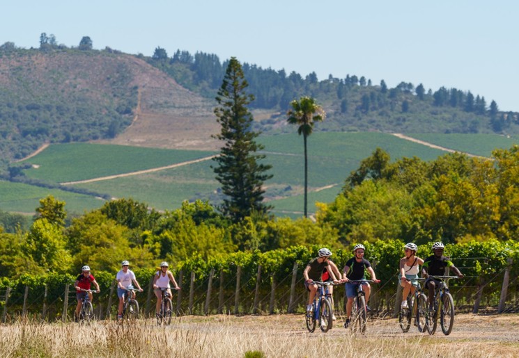 Fietsen door de wijngaarden in Stellenbosch, Zuid-Afrika