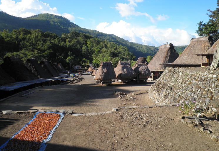 authentiek dorpje Bajawa in Flores
