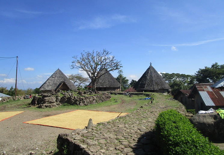 Flores-Ruteng-Dorp_1_410621