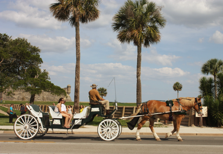 Florida-St-Augustine-Ford_2_501163 Florida-St-Augustine-Ford_2_501163