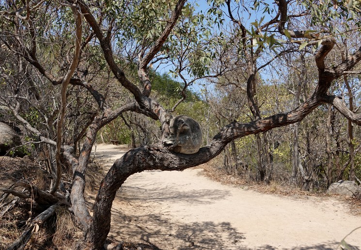 Forts-Florence bay-walk op Magnetic Island