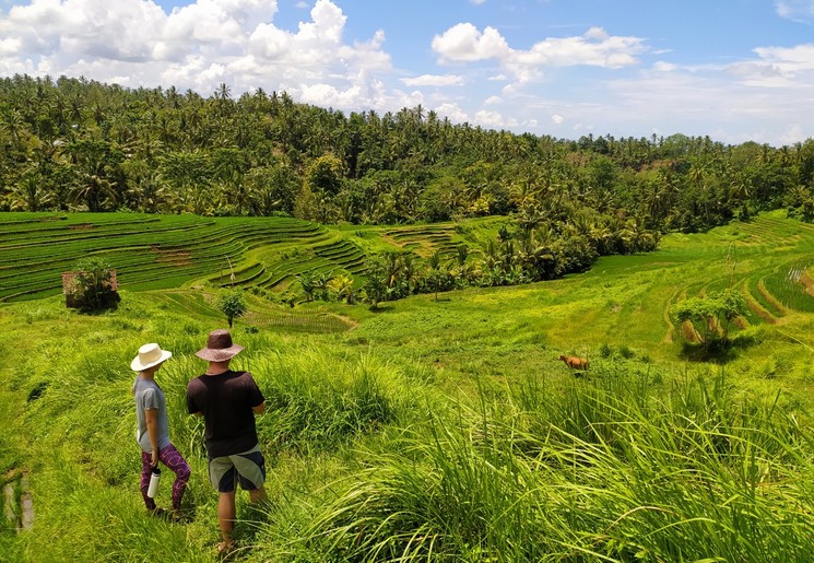 Rust en ontspanning in Selemadeg