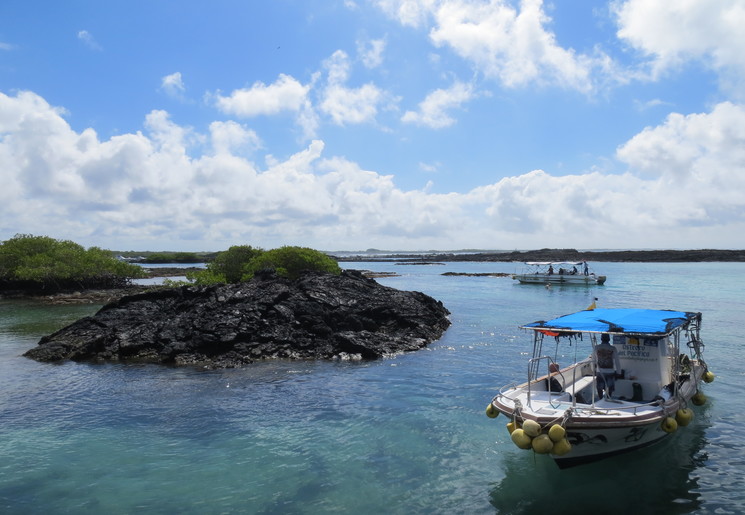 Spring van de boot in het heldere water bij Isabela, Galapagos