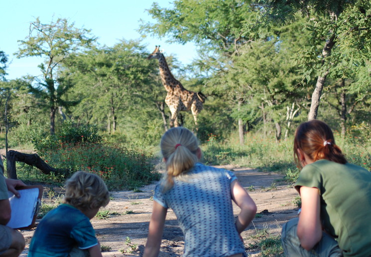 Gezin op safari in Zuid-Afrika
