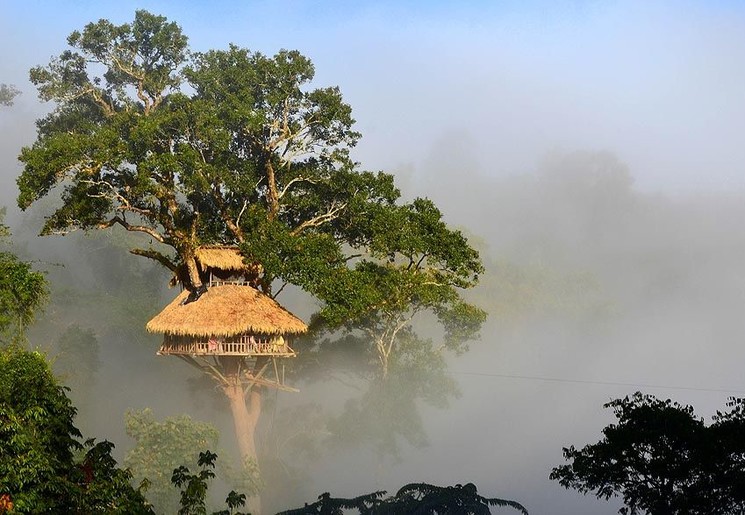 Een heerlijk gevoel om elke ochtend met zo'n uitzicht vanaf uw boomhut wakker te worden in Nam Kan National Park, Laos