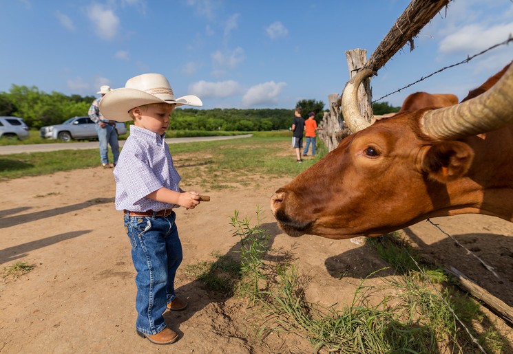 Ervaar het echte cowboy-gevoel tijdens een ranch-stay