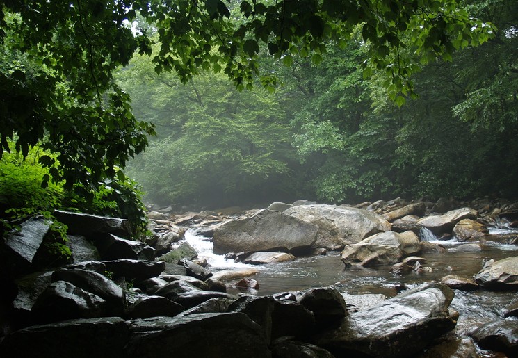 Great-Smokey-Mountains-3 Great-Smokey-Mountains-3