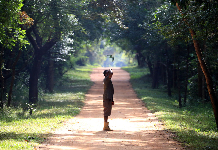Vogels spotten in Habarana, Sri Lanka