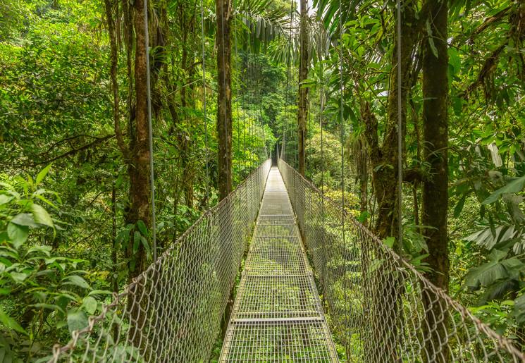 Hangbrug in Monteverde, Costa Rica