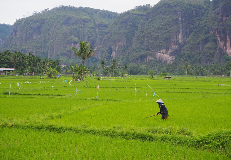 Harau Vallei, Sumatra Indonesië
