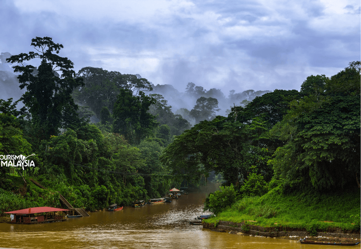 Ontdek de natuur van Taman Negara, Maleisie