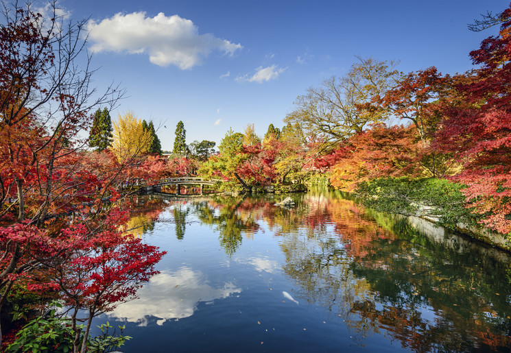 Herfst_Kyoto_Honshu_Japan_428494(5)