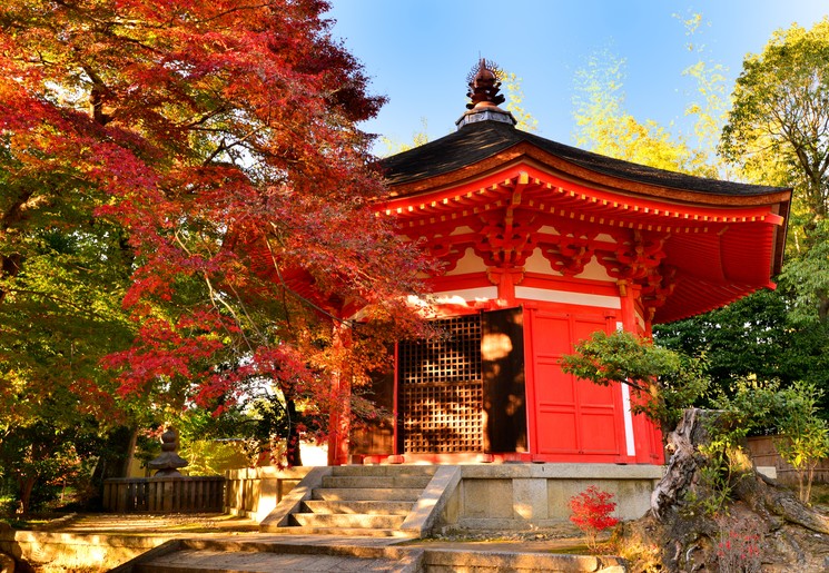 Herfst in Kyoto, Japan
