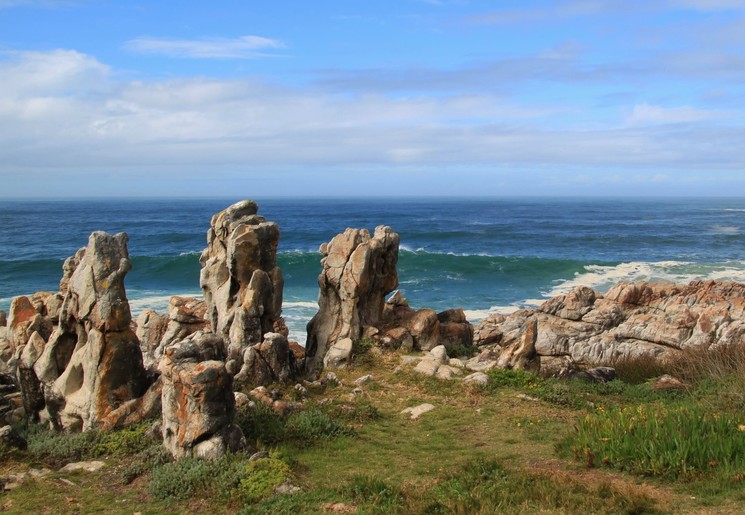 Waslvissen spotten vanaf de kustlijn in Hermanus
