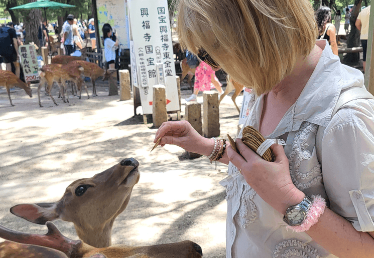 Hertjes in Nara, Japan