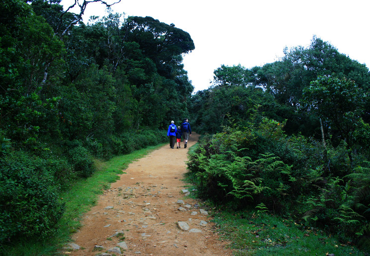 Vogels spotten in Sri Lanka Vogels spotten in Sri Lanka