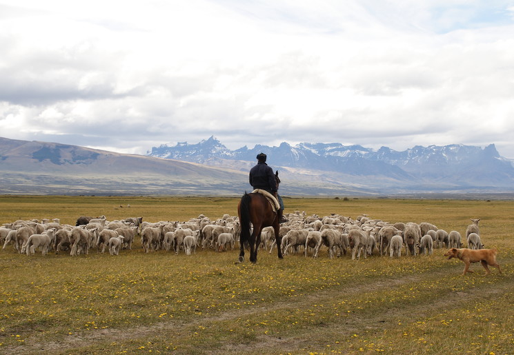 Op excursie in Torres del Paine in Chili