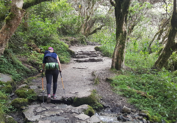 Incatrail-Iris-dag-2-10