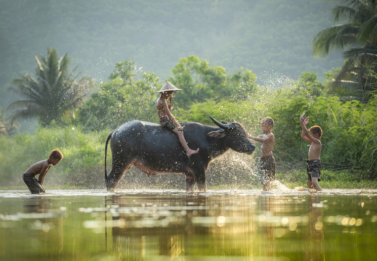 Kinderen op een waterbuffel in een rivier in Laos