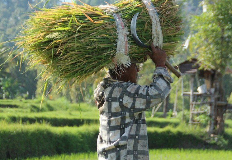 Er wordt hard gewerkt op het veld