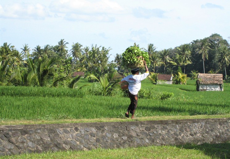 Geheime plekjes op Bali